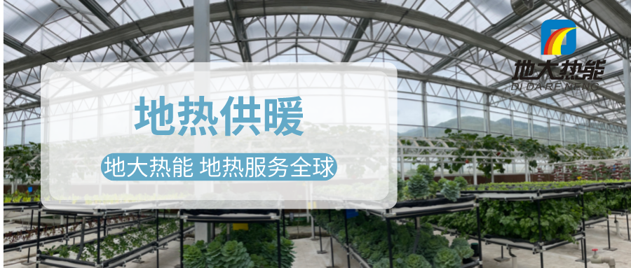 發(fā)揮地?zé)豳Y源優(yōu)勢(shì)，地?zé)徂r(nóng)業(yè)實(shí)現(xiàn)花卉產(chǎn)業(yè)特色發(fā)展 | 地大熱能 地?zé)岱?wù)全球