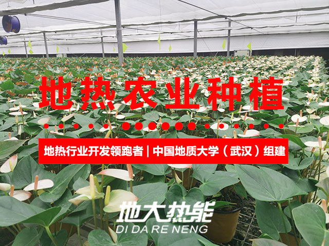 濟南：“地熱能+農(nóng)業(yè)”產(chǎn)業(yè)融合，讓地熱能真正“熱”起來-地大熱能